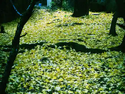 石切劔箭神社上之社の自然