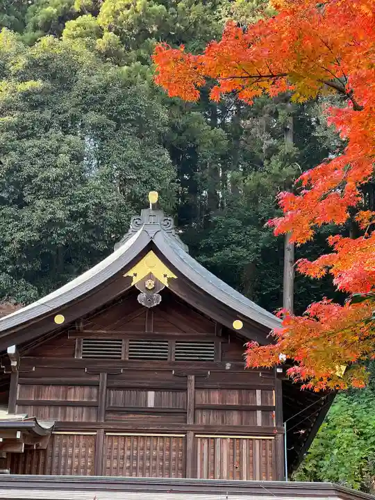 高麗神社(埼玉県)