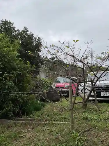 大智院（清水寺大智院）の動物