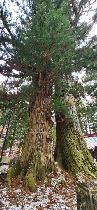 塩原八幡宮の周辺