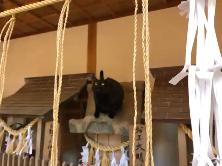 王子神社の動物