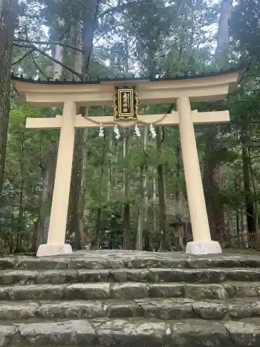 飛瀧神社（熊野那智大社別宮）の{uncategorized: "未分類", other: "その他", undefined: "問題あり", building: "その他建物", grave: "お墓", sacred_gate: "鳥居", guardian: "狛犬", statue: "像", buddha: "仏像", history: "歴史", nature: "自然", garden: "庭園", animal: "動物", pagoda: "塔", temizu: "手水舎", mountain_gate: "山門・神門", sanctuary: "本殿・本堂", subordinate: "末社・摂社", art: "芸術", scenery: "景色", jizo: "地蔵", ema: "絵馬", goshuin: "御朱印", omikuji: "おみくじ", items: "授与品その他", amulet: "お守り", goshuincho: "御朱印帳", eats: "食事", festival: "お祭り", votive_dance: "神楽", shichigosan: "七五三参", wedding: "結婚式", experience: "体験その他", initially: "初詣", around: "周辺", anti_infection: "感染症対策"}