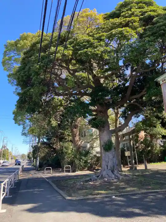 八坂神社(神奈川県)