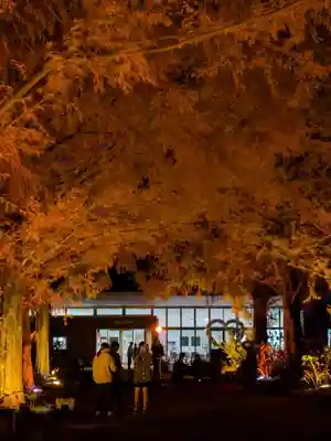野木神社(栃木県)