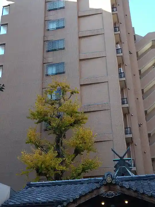 御金神社の自然