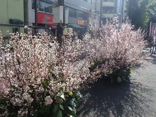 とげぬき地蔵尊 高岩寺の御朱印