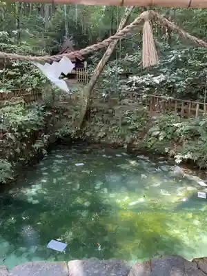 八重垣神社(島根県)
