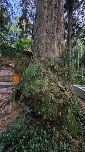 御岩神社の自然