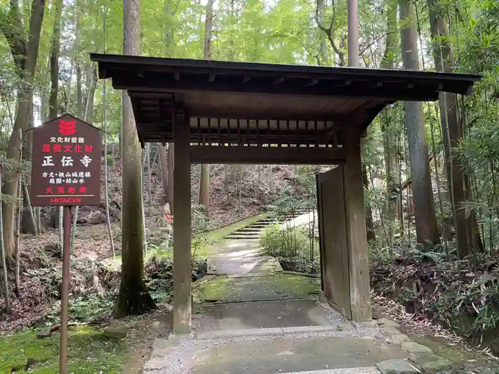 正伝護国禅寺(正伝寺・正傳寺)(京都府)
