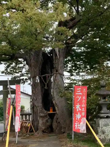 三ツ木神社(埼玉県)