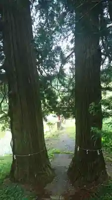 八雲神社の自然