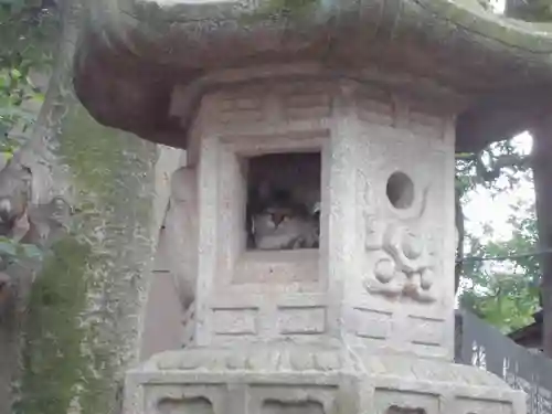 代々木八幡宮の動物