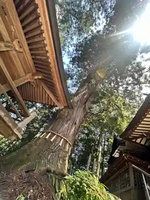 鷲子山上神社(栃木県)