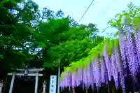 日吉神社(東京都)