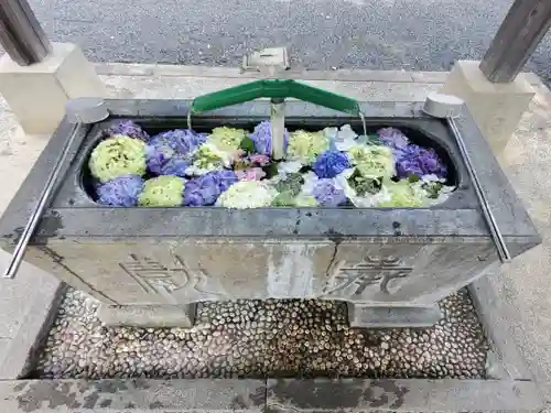 賀茂別雷神社の手水舎