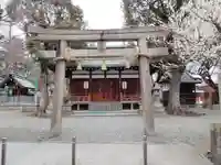 赤留比売命神社(杭全神社飛地境内社)の鳥居