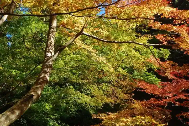 大寧寺(山口県)