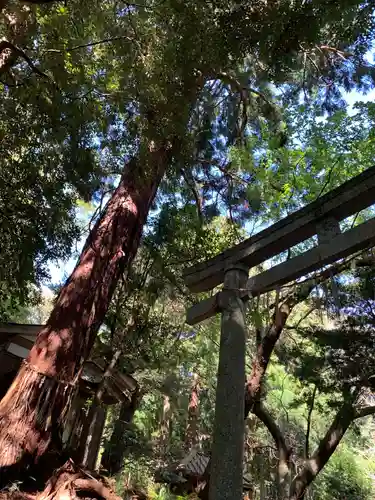 三之宮神社の自然