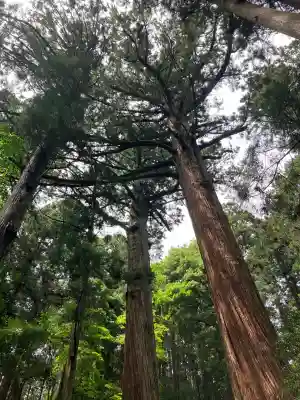 吉田八幡神社(茨城県)