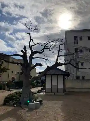 荘嚴浄土寺のその他建物