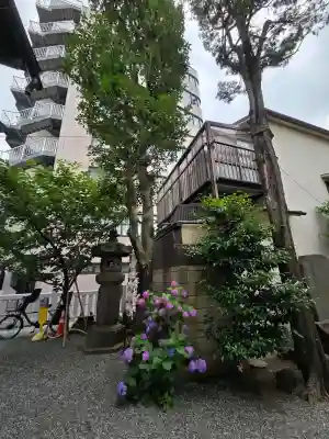 櫻木神社(東京都)