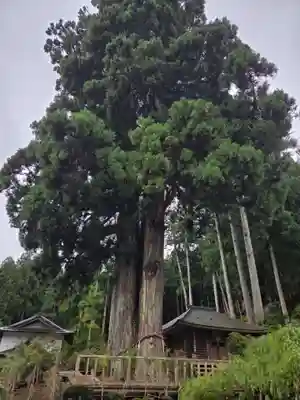 金剛三昧院(和歌山県)