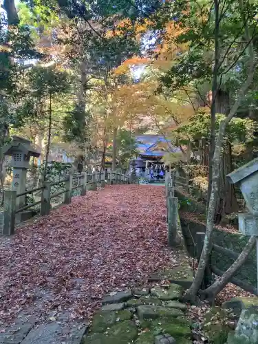 五所駒瀧神社(茨城県)