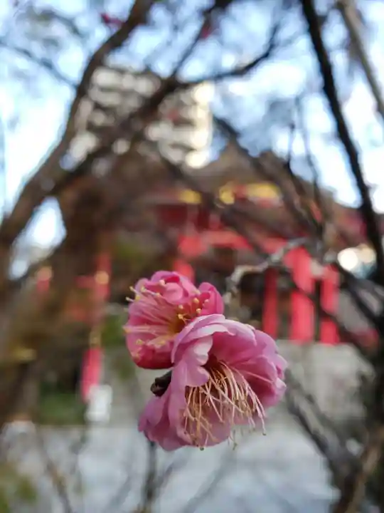 成子天神社の自然