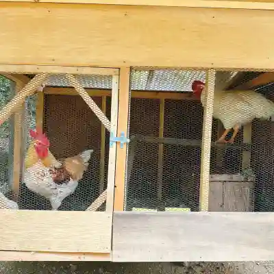楽法寺（雨引観音）(茨城県)
