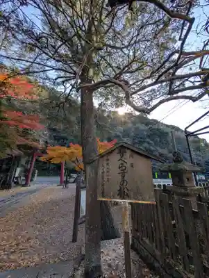 内々神社(愛知県)