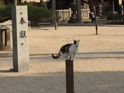 若松恵比須神社 (福岡県)