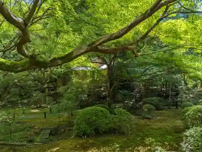 青蓮院門跡(京都府)