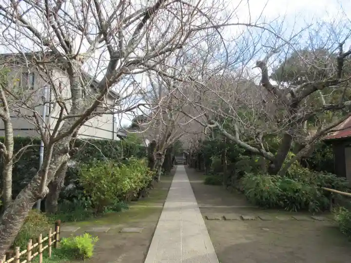 極楽寺(霊鷲山感應院極楽律寺)のその他建物