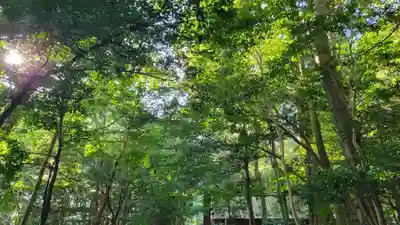 伊雜宮（皇大神宮別宮）(三重県)