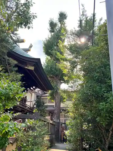 越谷香取神社(埼玉県)