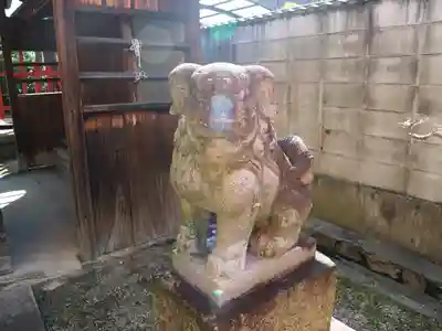 住吉神社の狛犬