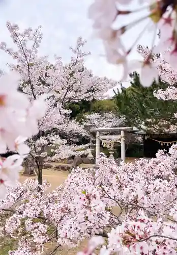 山﨑八幡宮の鳥居