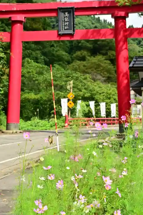 高龍神社(新潟県)