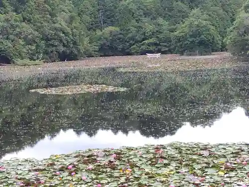 八幡神社(滋賀県)
