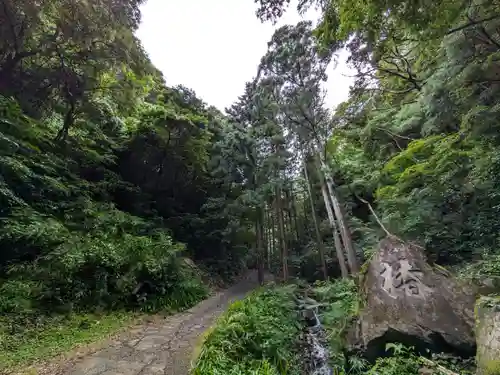 阿弥陀寺の周辺