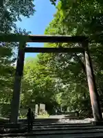 北海道神宮の鳥居