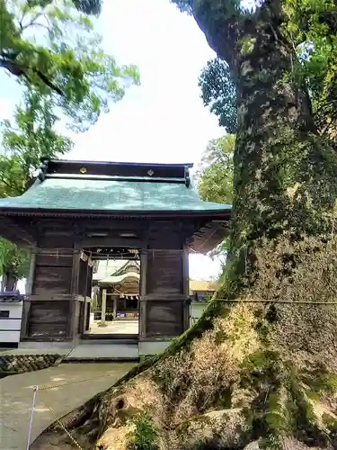 溝口竃門神社の山門