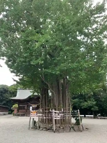 健軍神社(熊本県)