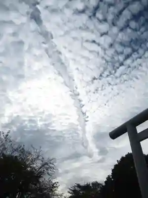 櫻木神社(千葉県)