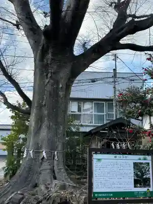 龍ケ崎八坂神社(茨城県)