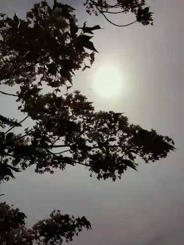 福蔵院(東京都)