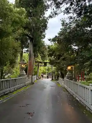 大瀧神社の{uncategorized: "未分類", other: "その他", undefined: "問題あり", building: "その他建物", grave: "お墓", sacred_gate: "鳥居", guardian: "狛犬", statue: "像", buddha: "仏像", history: "歴史", nature: "自然", garden: "庭園", animal: "動物", pagoda: "塔", temizu: "手水舎", mountain_gate: "山門・神門", sanctuary: "本殿・本堂", subordinate: "末社・摂社", art: "芸術", scenery: "景色", jizo: "地蔵", ema: "絵馬", goshuin: "御朱印", omikuji: "おみくじ", items: "授与品その他", amulet: "お守り", goshuincho: "御朱印帳", eats: "食事", festival: "お祭り", votive_dance: "神楽", shichigosan: "七五三参", wedding: "結婚式", experience: "体験その他", initially: "初詣", around: "周辺", anti_infection: "感染症対策"}