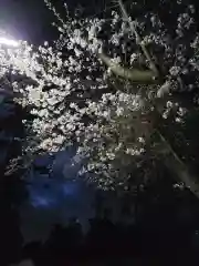 天宮神社の自然