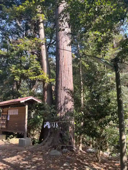 鎌形八幡神社の{uncategorized: "未分類", other: "その他", undefined: "問題あり", building: "その他建物", grave: "お墓", sacred_gate: "鳥居", guardian: "狛犬", statue: "像", buddha: "仏像", history: "歴史", nature: "自然", garden: "庭園", animal: "動物", pagoda: "塔", temizu: "手水舎", mountain_gate: "山門・神門", sanctuary: "本殿・本堂", subordinate: "末社・摂社", art: "芸術", scenery: "景色", jizo: "地蔵", ema: "絵馬", goshuin: "御朱印", omikuji: "おみくじ", items: "授与品その他", amulet: "お守り", goshuincho: "御朱印帳", eats: "食事", festival: "お祭り", votive_dance: "神楽", shichigosan: "七五三参", wedding: "結婚式", experience: "体験その他", initially: "初詣", around: "周辺", anti_infection: "感染症対策"}