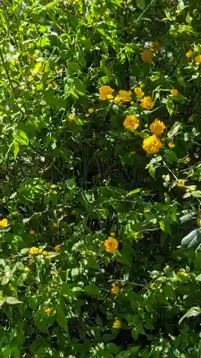 橋寺 放生院(京都府)